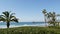 Pacific ocean beach, palm tree and pier. Tropical waterfront resort near Los Angeles California USA.