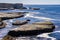 Pacific Ocean Coast Harbor seals resting on rocks, Wilder Ranch State Park, near Santa Cruz, California