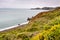 The Pacific Ocean coastline in Marin Headlands on a foggy day; Golden Yarrow Eriophyllum confertiflorum wildflowers blooming on