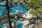 Pacific ocean, Rocky cliffs and native redwood forest. Big Sur, CA