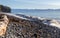 Pacific ocean view and driftwood on the beach