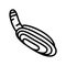 pacific razor clam line icon vector illustration