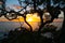 Pacific sunrise from Mount Maunganui.