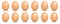 Pack of 12 brown hen eggs, vector illustration