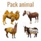 Pack animals set