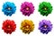 Pack of colored surreal dahlia flowers macro isolated