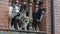 Pack of dogs on a porch