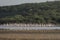 Pack of flamingos at Lake Bogoria National Reserve in Kenya