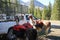 Pack llamas wearing their gear are leashed to a truck in preperation for a hunting trip