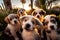 A pack of puppies take a selfie. AI Generated