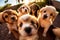 A pack of puppies take a selfie. AI Generated