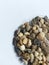 a pack of river stones to decorate ornamental plants, aquariums, pots on a white background