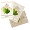 Pack of Spinach seeds icon