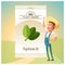 Pack of Spinach seeds icon