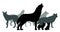 Pack of wolves with puppies. Silhouette picture. Wild animal in nature. Predator in natural conditions. Isolated on