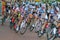 Pack of Women Bicycle Criterium Racers