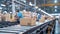 Package boxes with ordered goods Huge fulfillment center of giant e-commerce company moving on Power Conveyor. Retail commerce