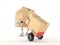 Package character with hand truck