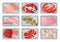 Packages with fresh meat, seafood, chicken set, food plastic trays containers with transparent cellophane cover vector