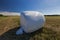 Packed in film grass straw for feeding livestock