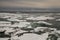 Packed ice in Arctic sea