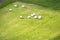 Packed in white bales harvested grass in Iceland field