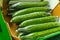 Packing of big ripe long green cucumbers for transportation, bio