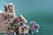 Packing Christmas gifts. Craft gift boxes and decorations . On green background
