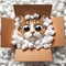 Packing Peanuts Purrprise: A Cat\\\'s Curious Peek