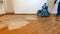 pad sander sanding hardwood floor