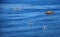 Paddle boarders off Heisler Park, Laguna Beach, California.