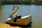 Paddle boat on the lake. Swan paddle boat in a sunny day. Romantic ride. Beautiful, calm and easy waters.