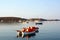 Paddle boats on sea