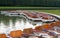 Paddle boats on water in a Paris park