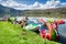 Paddle boats, Yahuarcocha lake, Ecuador.