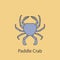 paddle crab 2 colored line icon. Simple purple and gray element illustration. paddle crab concept outline symbol design from fish