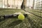 Paddle tennis objects and court