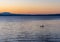 Paddleboarding at Sunset on Puget Sound