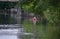 Paddler on Boardman River in Traverse City at The Grand Traverse Bay, Michigan