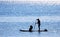 Paddler and Dog on Standup Paddle Board, Canada