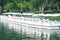 Paddles parked in the lake