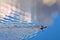 Paddling on a calm lake