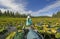 Paddling Through Lily pads in the Wilderness