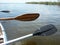 Paddling near caimans in Esteros del Ibera