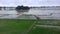 Paddy, also called rice paddy, small, level, flooded field used to cultivate in madhubani india