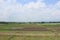 Paddy farm Rice agriculture growth countryside Probolinggo Indonesia
