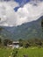 Paddy farmer hill station in india.