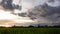 Paddy field with beautiful sky.