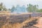 paddy field burned by fire