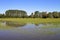 Paddy field with reflections of trees in the water in the rural countryside